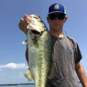 Meet your Posher, Bobby